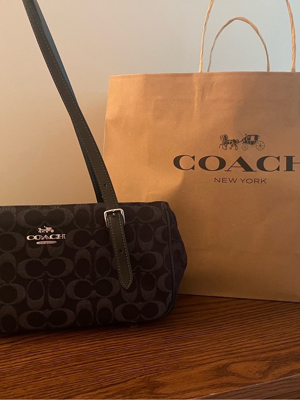 Coach Asher Shoulder Bag in Signature Denim